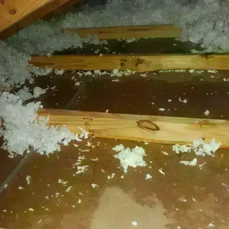 Attic Water Damage in Floyd County, GA